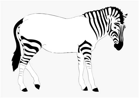 cartoon zebra|zebra with no stripes cartoon.